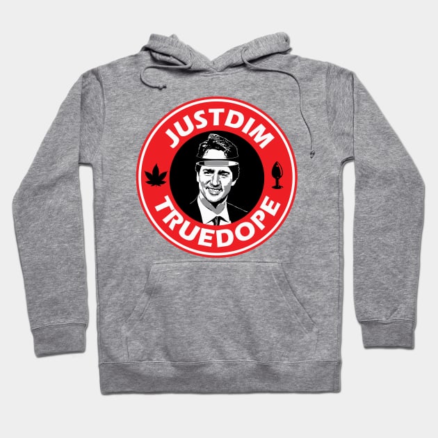 Justin Trudeau Hoodie by novistanlye